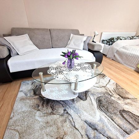 Aparthouse Apartamenty Centrum Sosnowiec Exterior foto
